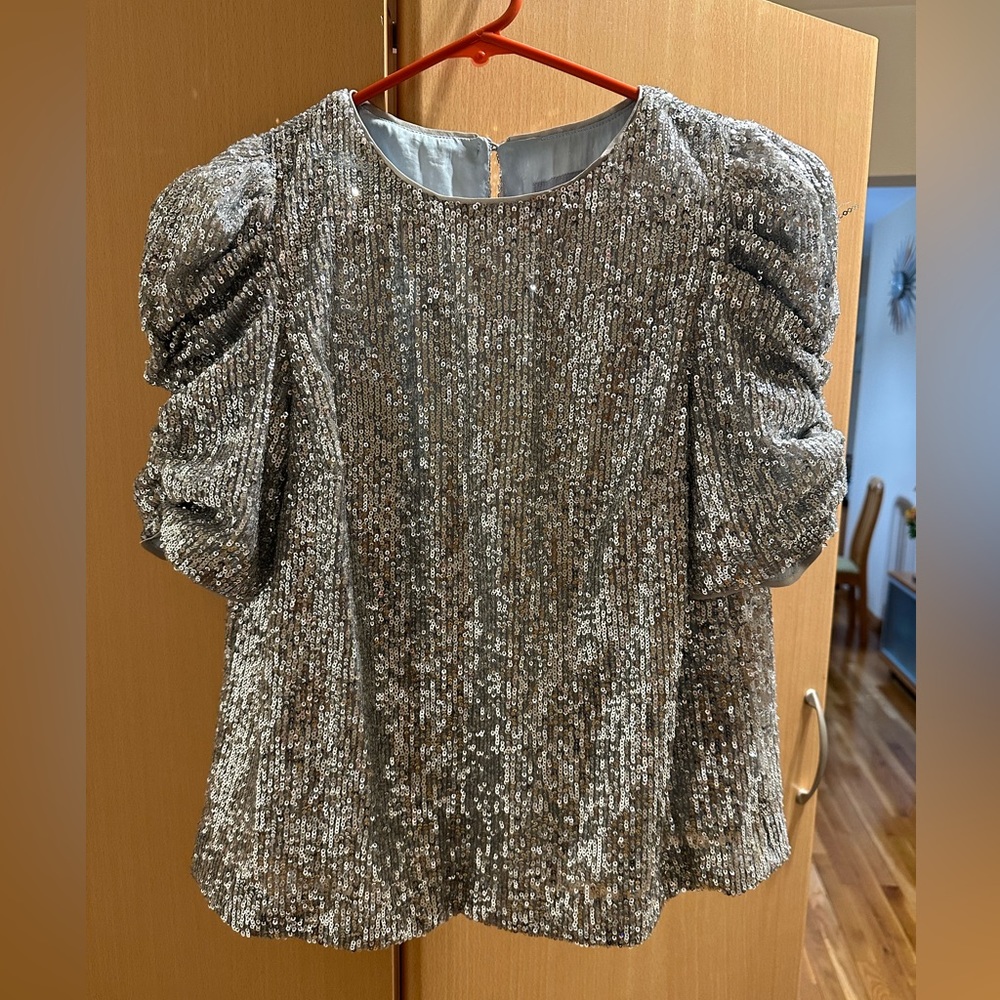 Anthropologie Silver Sequin Blouse